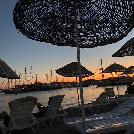 Plaja çok Yakın Tarihi Taş Ev Villa *